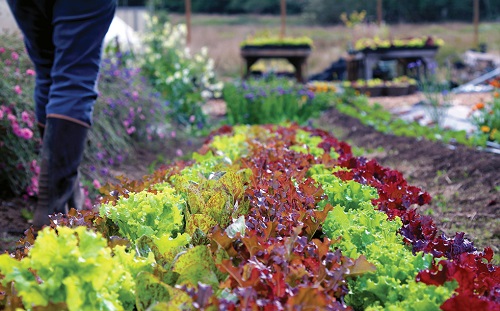 1646210924104875.jpg dfbbfacc00cc4b21a1c4cc2079f4e426_20843248_113350704037_2.jpg