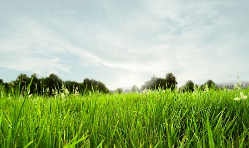 1655864787111763.png image.png