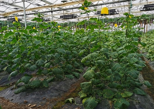 1660705148840557.png image.png