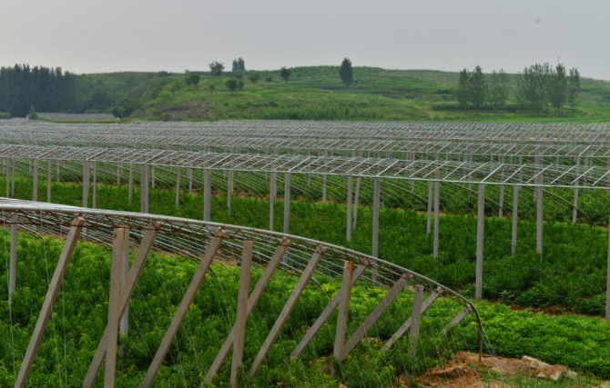 1684293332176850.png 1684293332176850.png